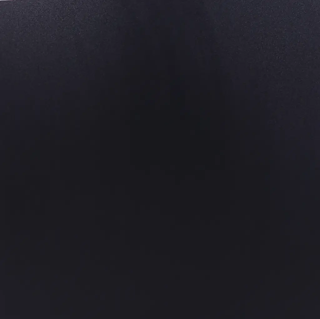 اسود.webp